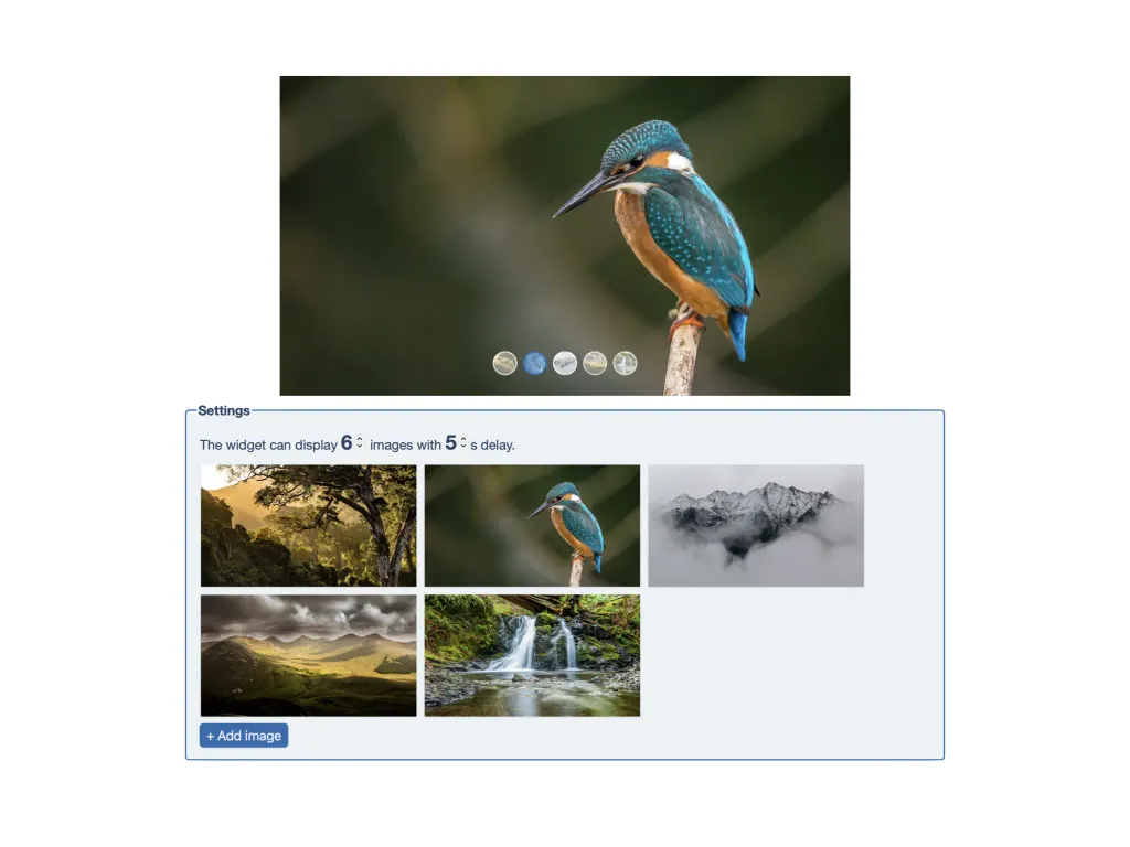 A Carousel widget showing a kingfisher, with its settings: five images and a 5 s delay